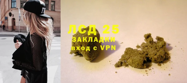 стафф Алзамай