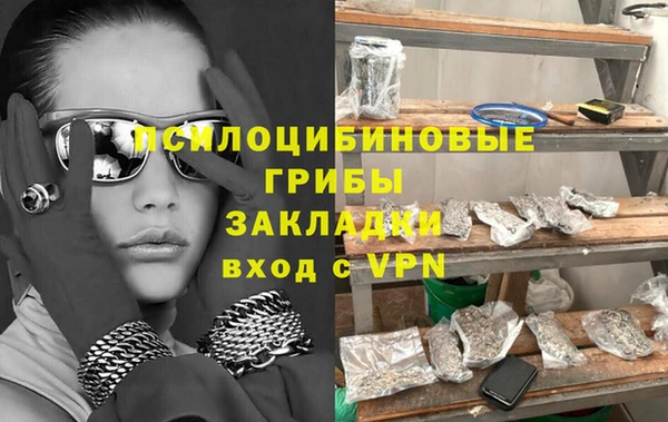 стафф Алзамай