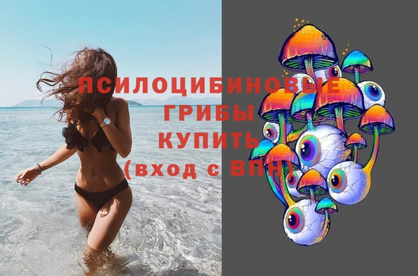 не бодяженный Алексин