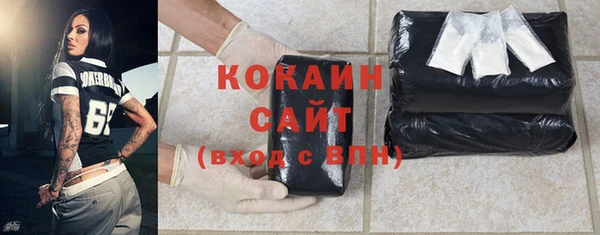 стафф Алзамай