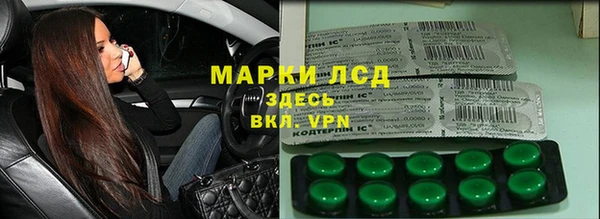 шишки Лабытнанги
